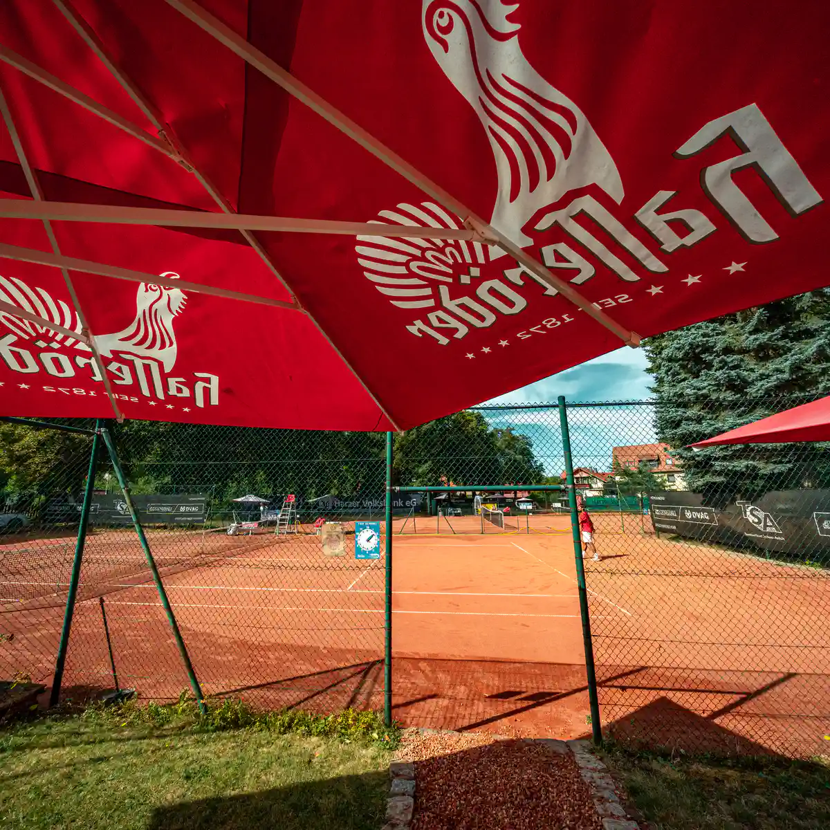 Next Generation Cup 2026 - Tennisclub Wernigerode e.V.